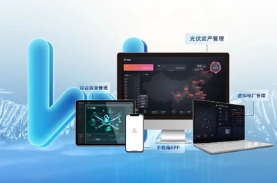 AI for Earth | 固德威 X 微软共话可再生能源转型 信息科技领域内技术开发