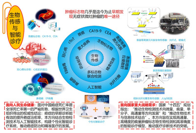 信息学院王琦教授获批国家科技重大专项 助力信息科技领域技术突破